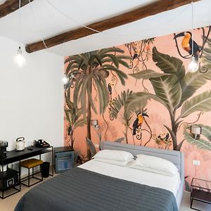 Habitación Deluxe con Cama King